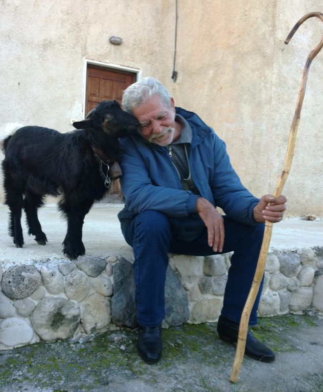 Fruits of Austerity_1